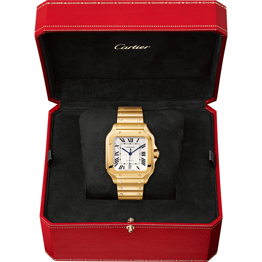 Santos de Cartier watch WGSA0030