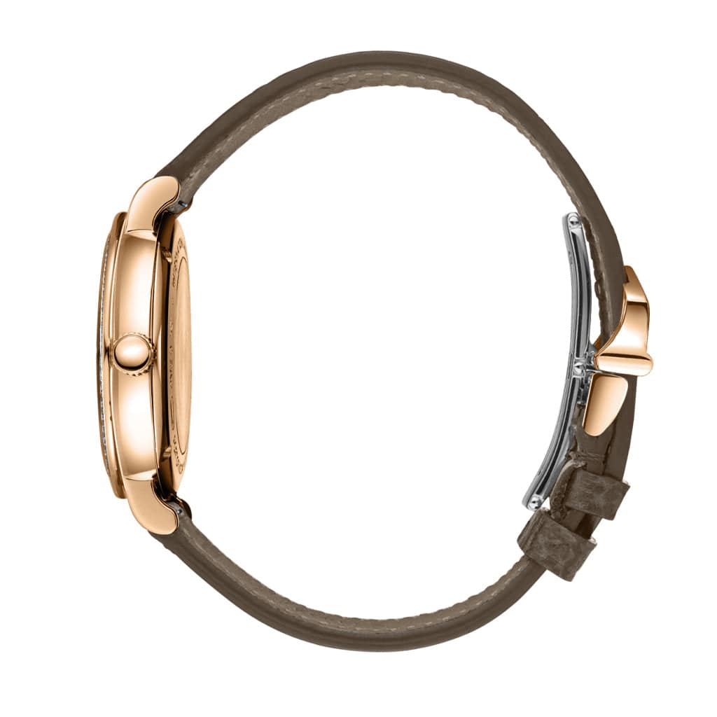 Portofino Automatic Day & Night 34 IW659802