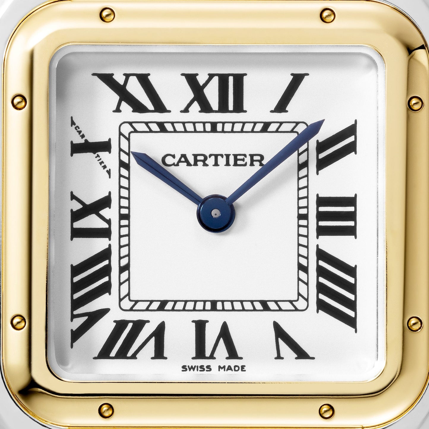 Panthère de Cartier watch W2PN0019