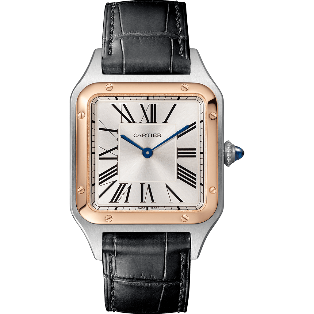 Santos-Dumont watch W2SA0037