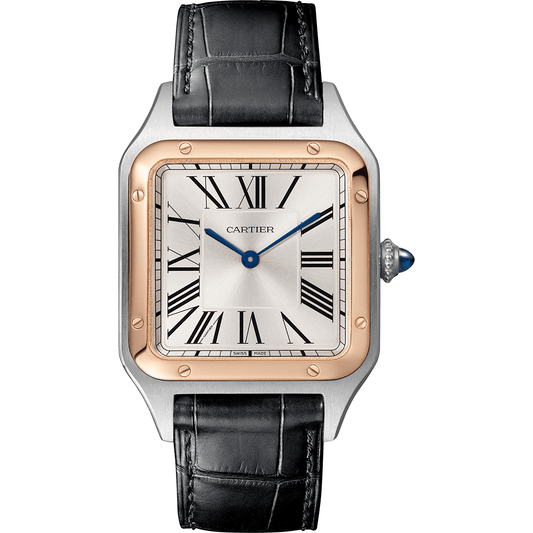 Santos-Dumont watch W2SA0037