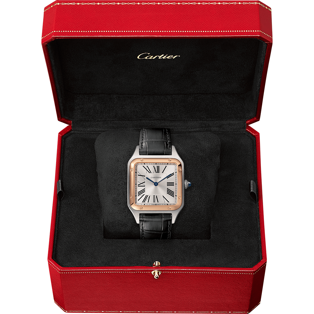 Santos-Dumont watch W2SA0037