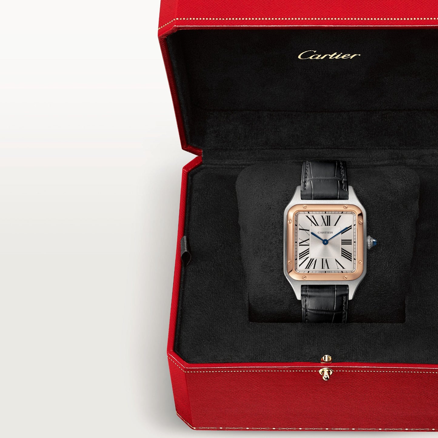 Santos-Dumont watch W2SA0037
