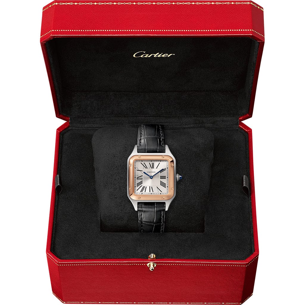 Santos-Dumont watch W2SA0038