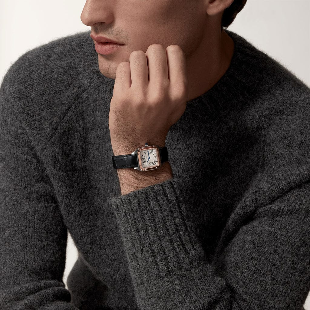 Santos-Dumont watch W2SA0038