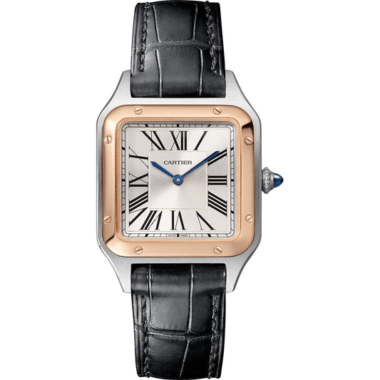 Santos-Dumont watch W2SA0038
