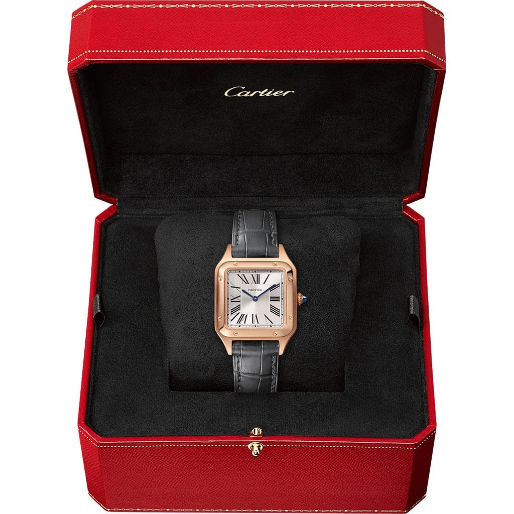 Santos-Dumont watch WGSA0022