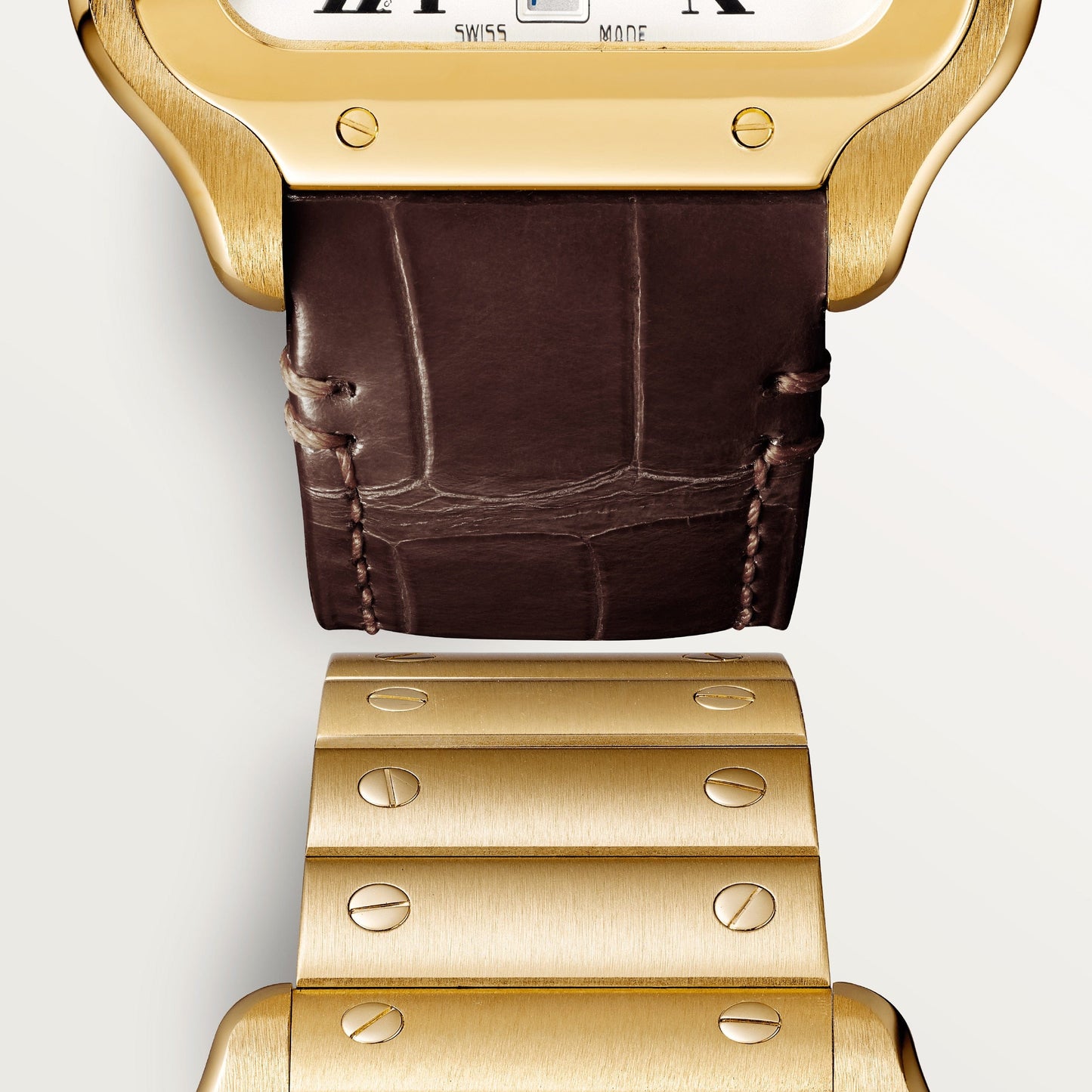 Santos de Cartier watch CRWGSA0029