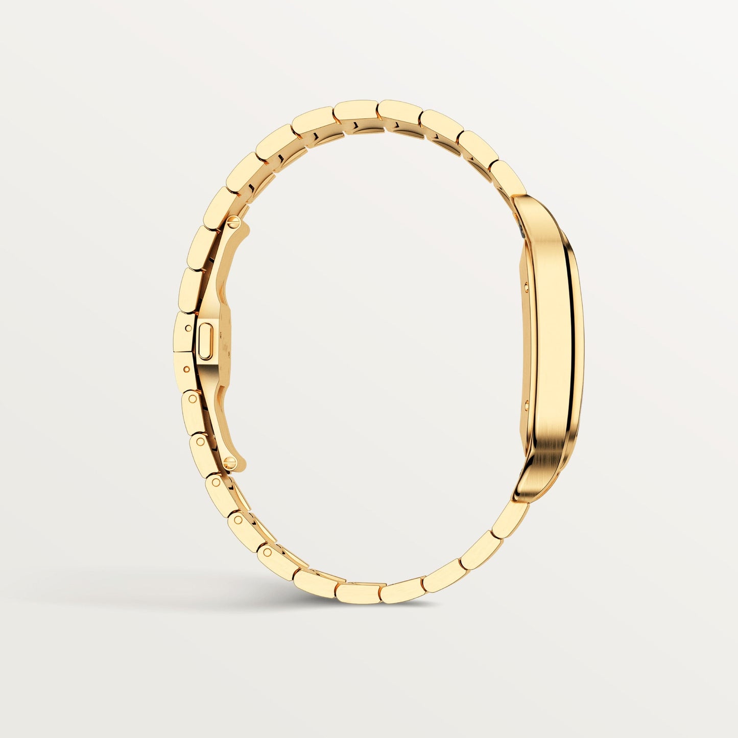 Santos de Cartier watch CRWGSA0029