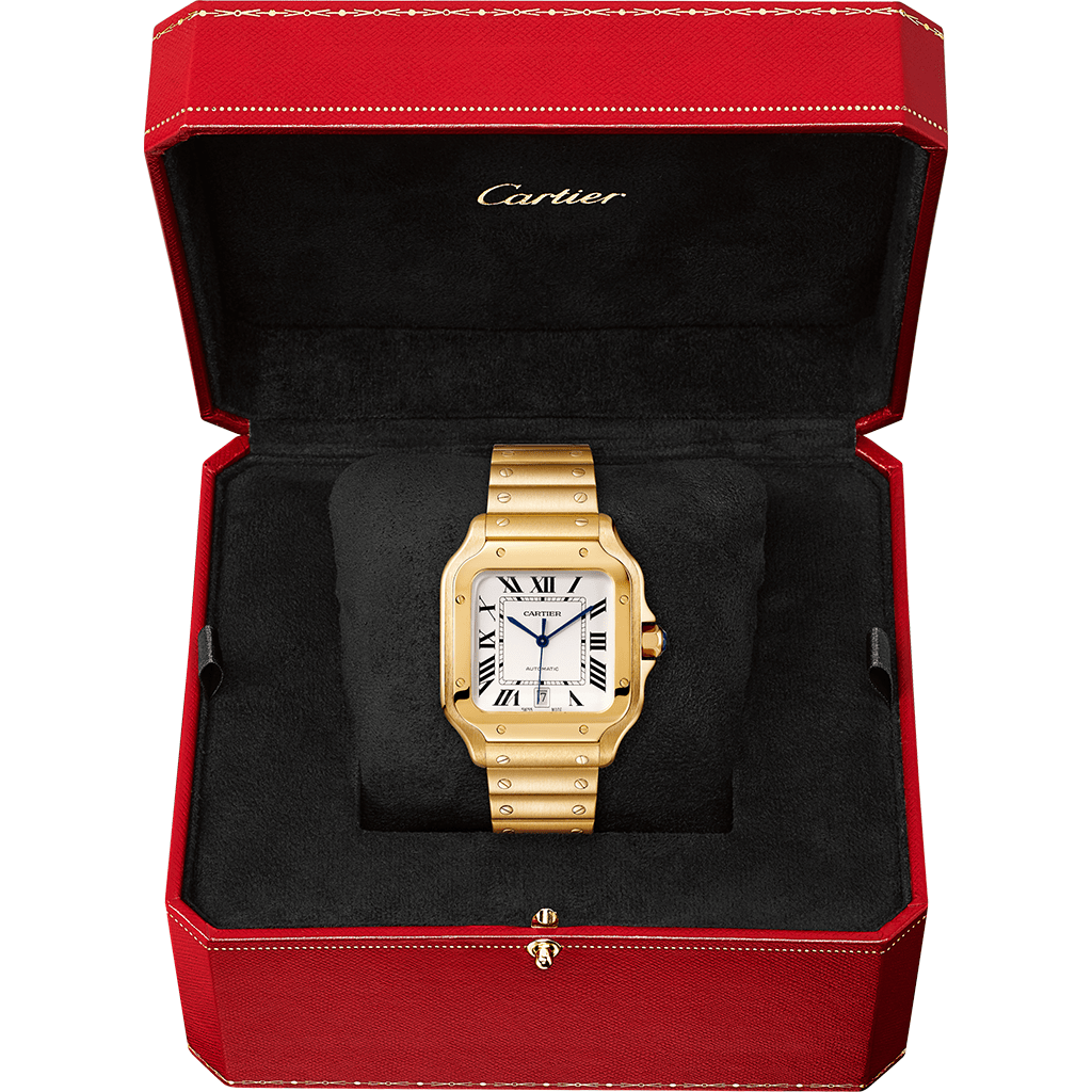 Santos de Cartier watch CRWGSA0029