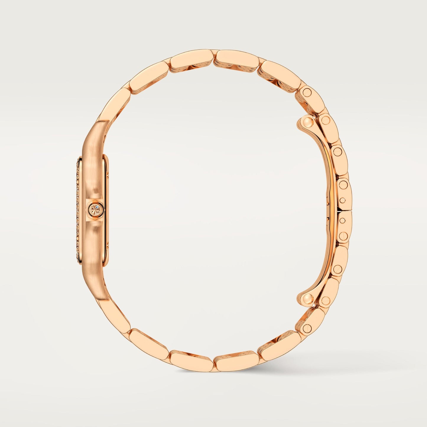 Panthère de Cartier watch WJPN0038