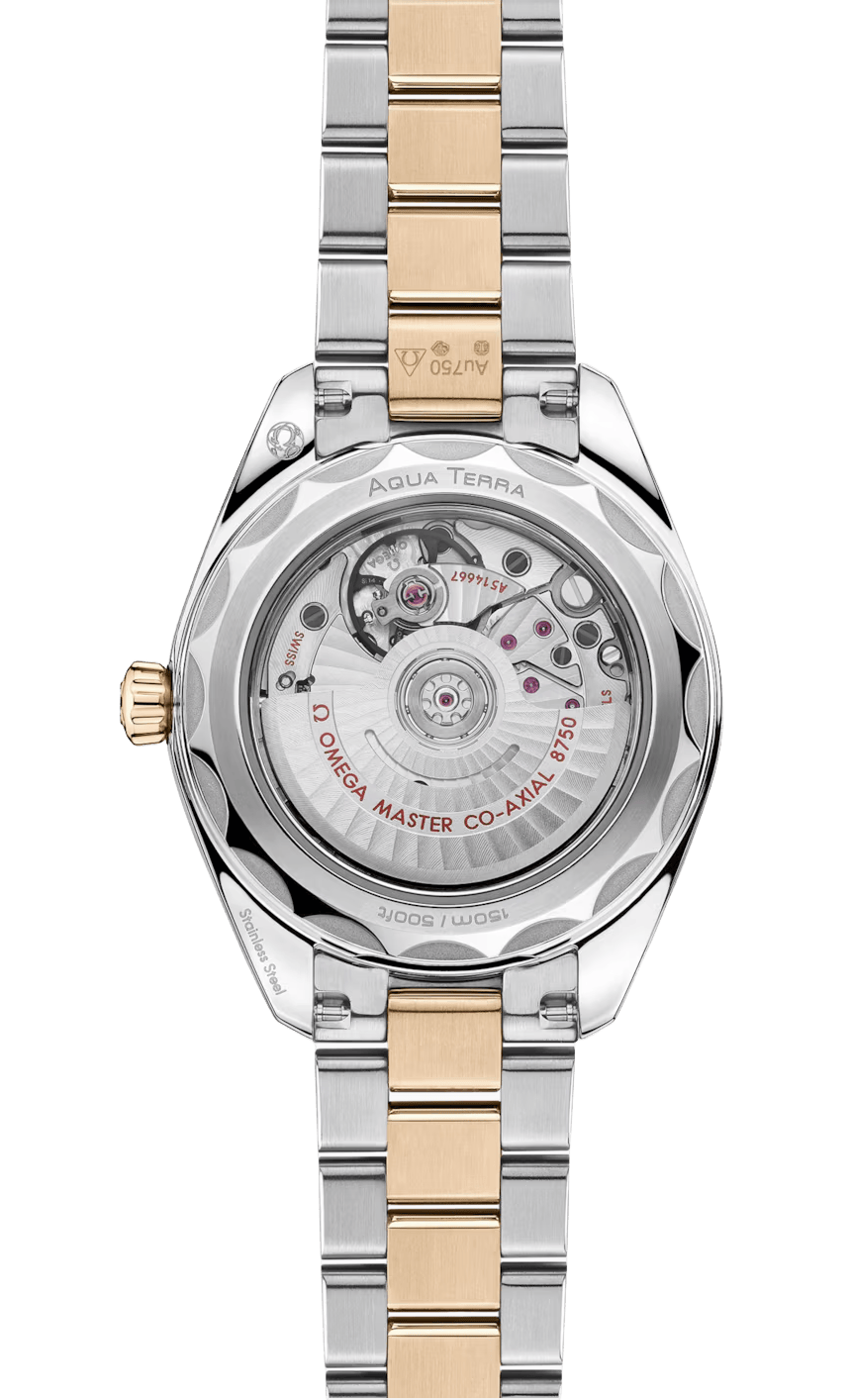 Seamaster Aqua Terra 150M 30 mm  220.20.30.20.02.001