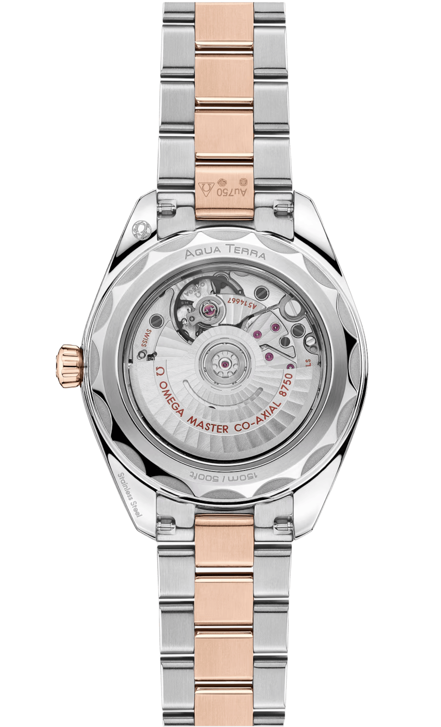 Seamaster Aqua Terra 150M 30 mm  220.20.30.20.63.001