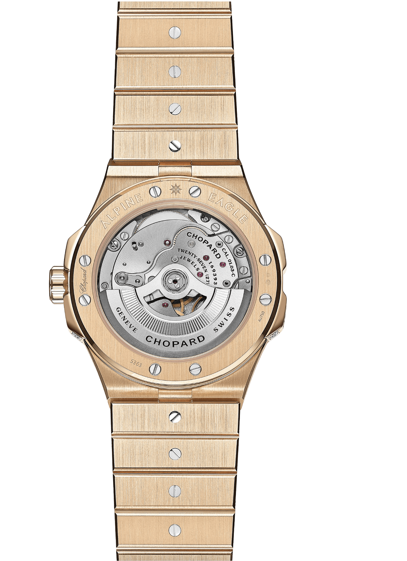 Alpine Eagle 41 295363-5011