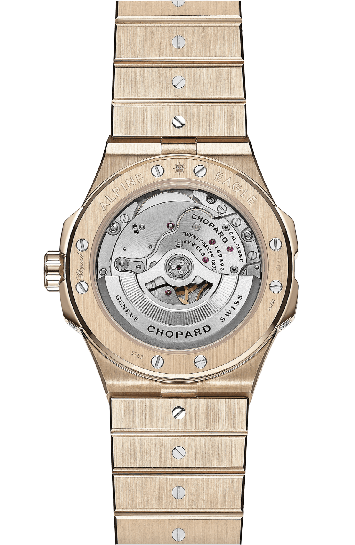 Alpine Eagle 41 295363-5005