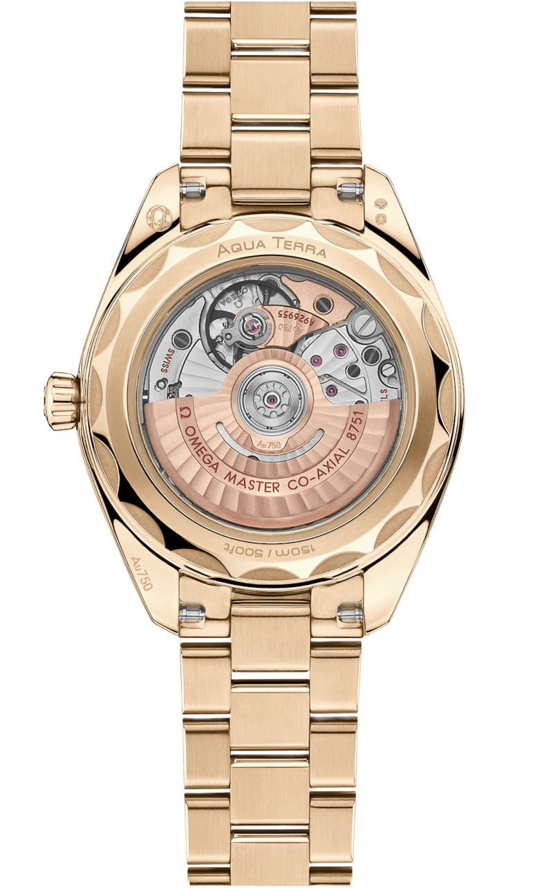 Seamaster Aqua Terra 150M 30 mm  220.55.30.20.60.001