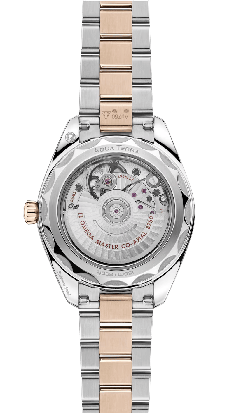 Seamaster Aqua Terra 150M 30 mm  220.20.30.20.10.002