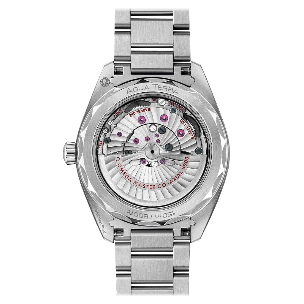 Seamaster Aqua Terra 150m Co‑Axial Master Chronometer 41 mm 220.10.41.21.03.004