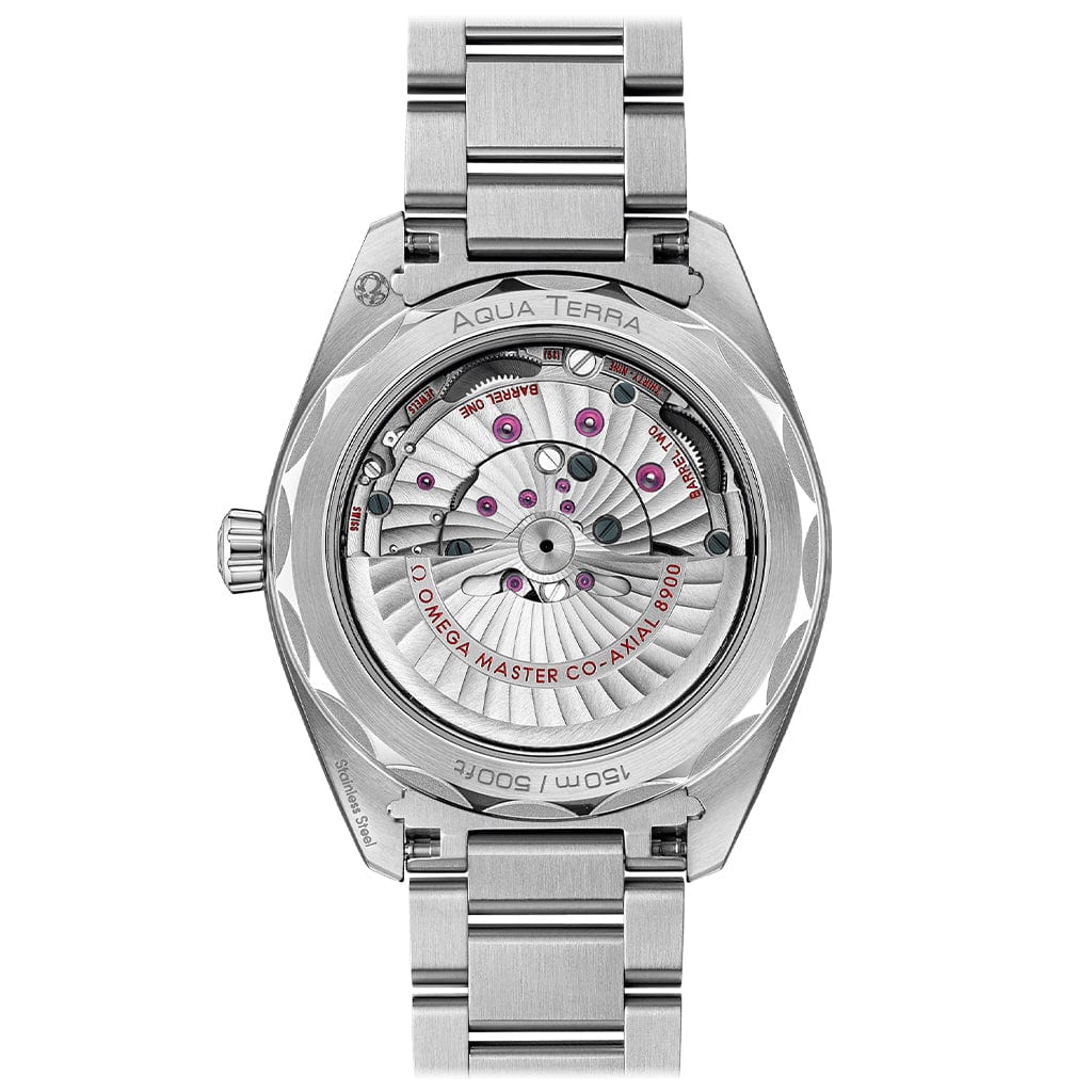 Seamaster Aqua Terra 150m Co‑Axial Master Chronometer 41 mm 220.10.41.21.10.001