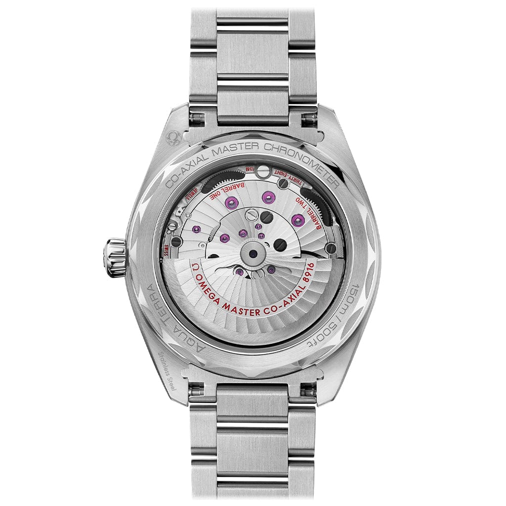 Seamaster Aqua Terra 150m Co‑Axial Master Chronometer Small Seconds 41 mm 220.10.41.21.02.002