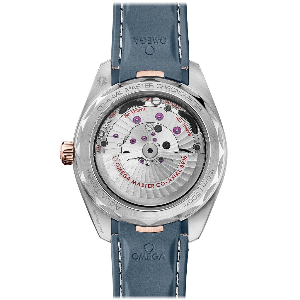 Seamaster Aqua Terra 150M Co‑Axial Master Chronometer Small Seconds 41 MM 220.22.41.21.03.001
