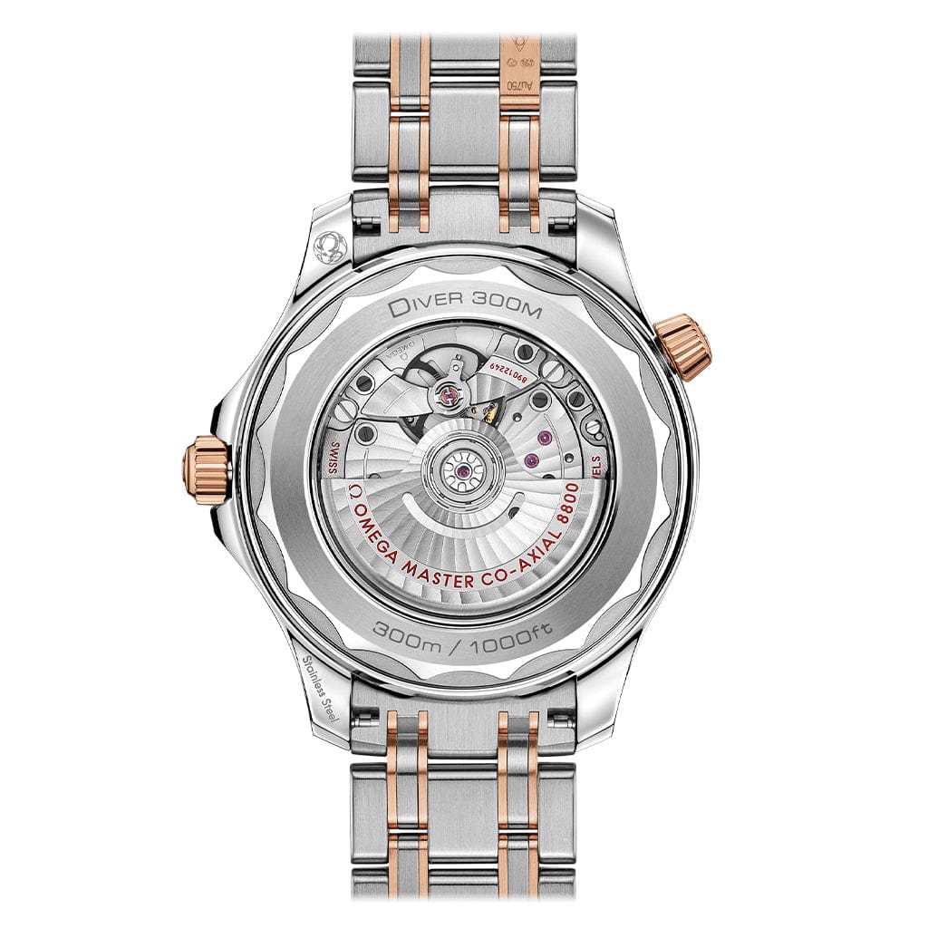 Seamaster Diver 300m Co‑Axial Master Chronometer 42 mm 210.20.42.20.01.001