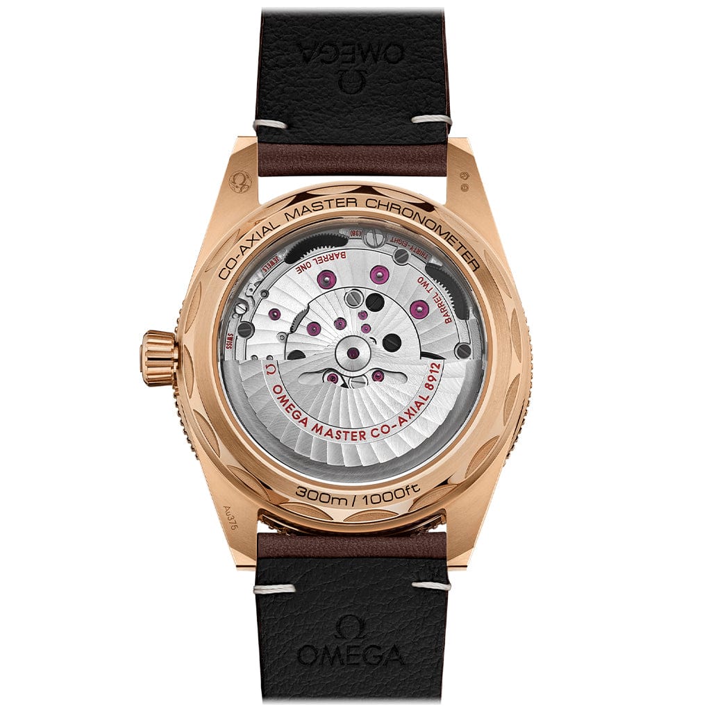 Seamaster 300 Co‑Axial Master Chronometer 41 MM 234.92.41.21.10.001