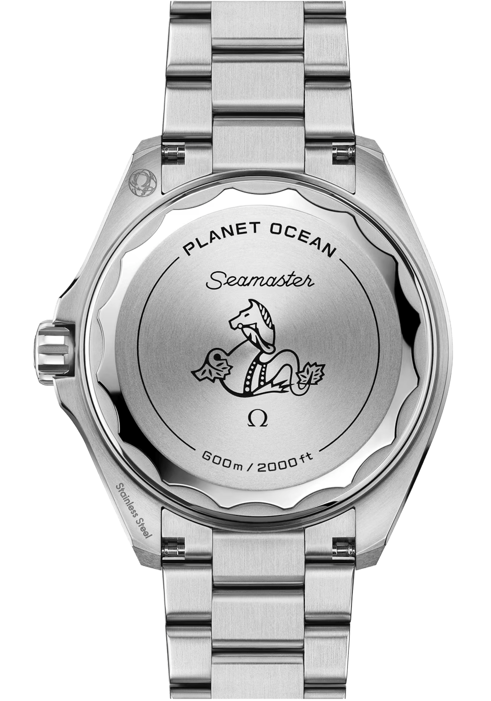 Seamaster Planet Ocean 600mm 42 mm  217.30.42.21.01.003
